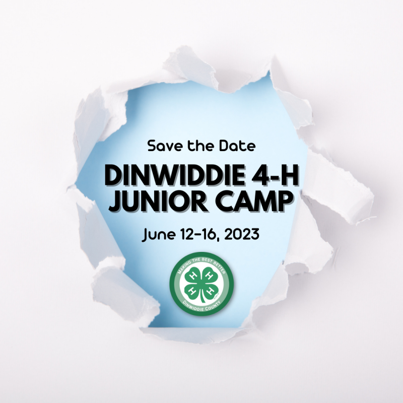 4-h Camp