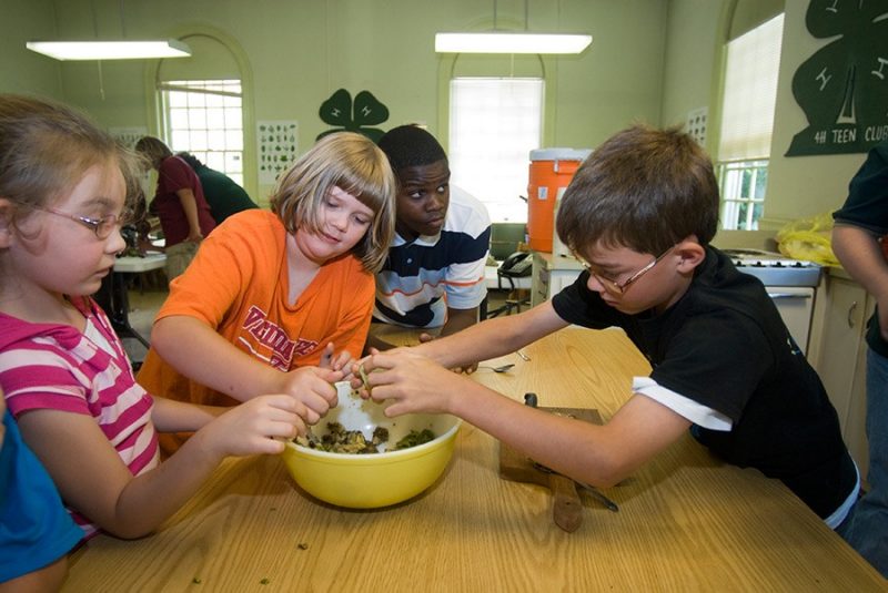 4-H Day at the State Capitol provides a real-life civics lesson for members