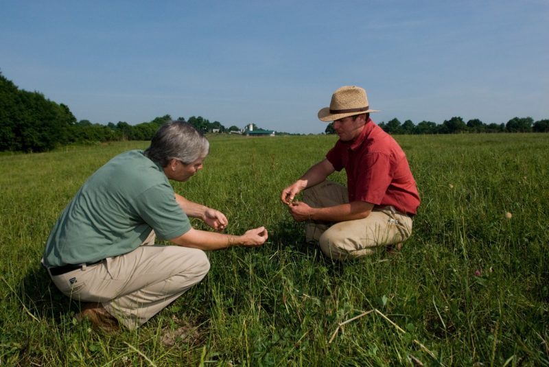 Carl Stafford with producer in pasture looking at grass