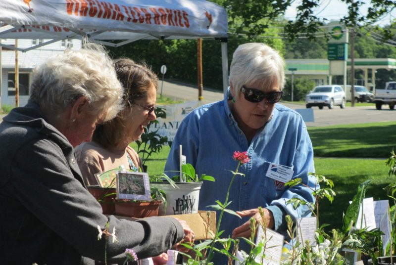 Master Gardeners 