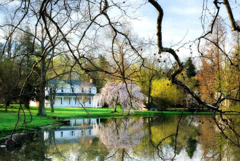 Solitude in early spring. 