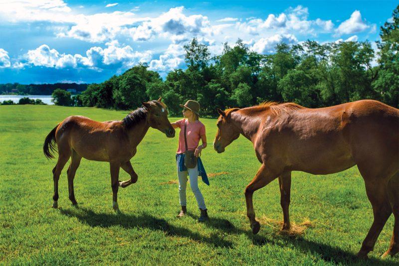 Amiya Veatch with her horses, Picasso and Peanut