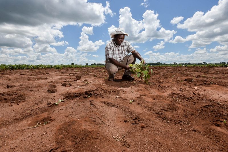 In a virtual event, the 2021 Global Agricultural Productivity Report (GAP Report), "Strengthening the Climate for Agricultural Growth," will be released.