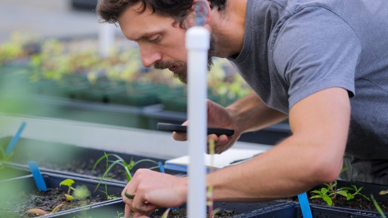 Timothy Shively bends over for a closer look at small plants.