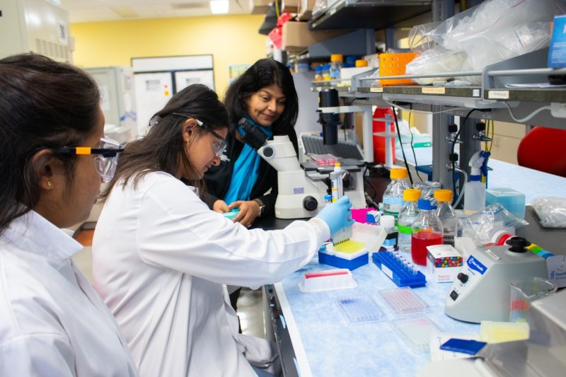 Graduate students Ruwanthika Kularathna, Neeti Gandhi, and Robert E. Hord Jr Professor of Chemical Engineering Padma Rajagopalan conducting a biological measurement.