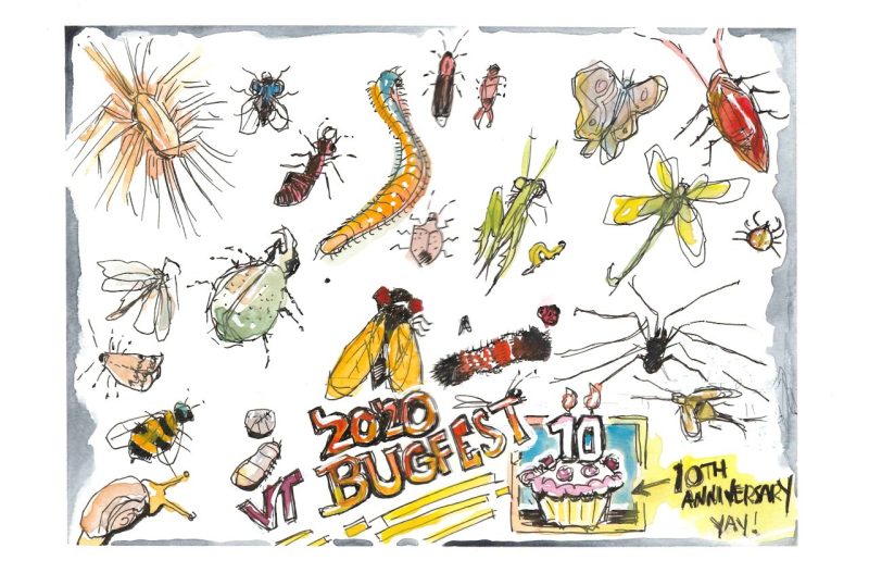 2020 Virginia Tech Bugfest -- Appeared on Oct. 13, 2020